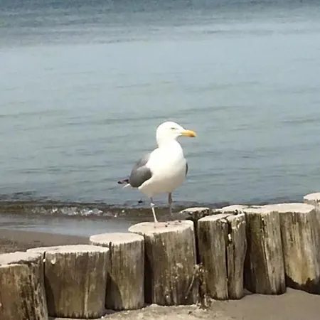 Alte Kate Σπίτι διακοπών *